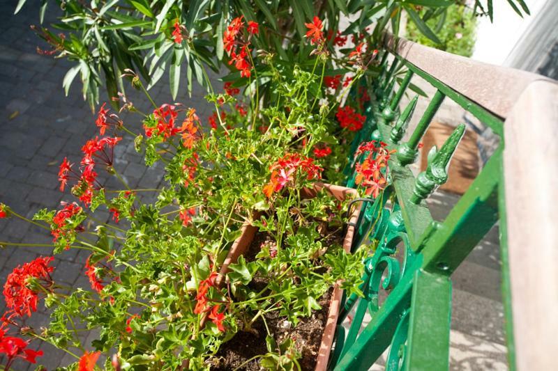 Pape Punat Apartmani I Sobe Exterior photo
